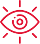 Our Vision